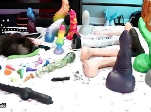 All Of My Current Toys, Bad Dragon, Primal Hardwere And More!