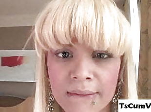 travestit, anal, transexual, solo