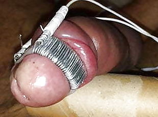 Pumped cock throbbing with some glans electro torture