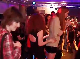 Well dressed party girls dancing in the club